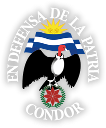 logo condor